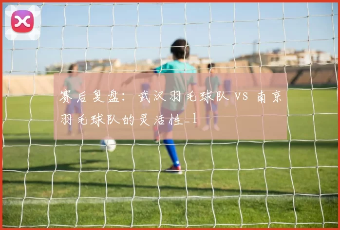 赛后复盘：武汉羽毛球队 vs 南京羽毛球队的灵活性_1