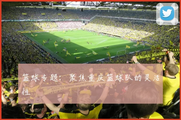 篮球专题：聚焦重庆篮球队的灵活性